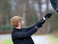 Tout sur les vents violents et l'assurance